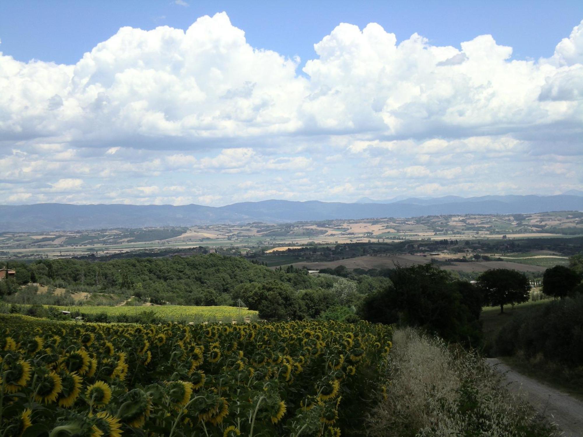 Hotel Sangallo B&B Montepulciano Stazione Exterior foto