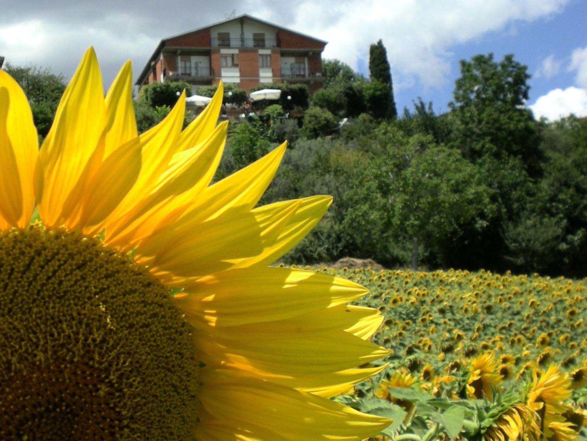 Hotel Sangallo B&B Montepulciano Stazione Exterior foto